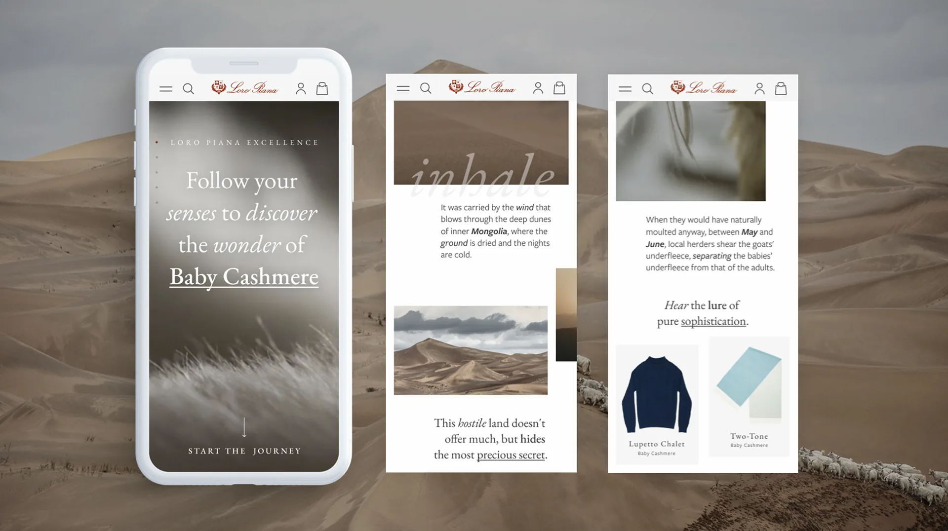 Loro Piana Baby Cashmere digital experience